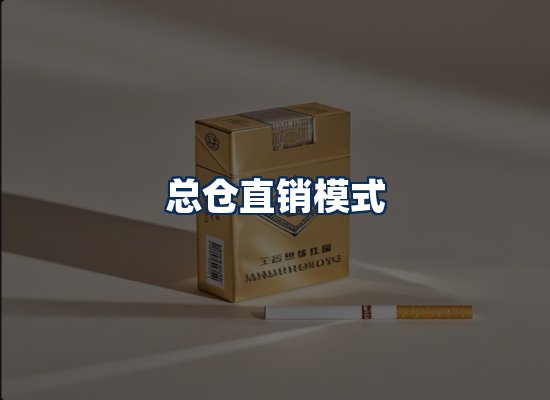专业团队办公环境